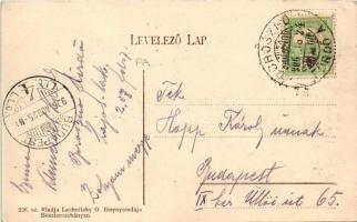 1906 Mezőköz, Medzibrod; Római katolikus templom, híd. Lechnitzky O. fénynyomdája kiadása 226. sz. /...