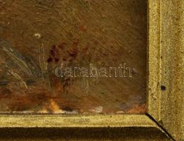 Olvashatatlan (Szász?) jelzéssel: Hazafelé. Olaj, karton. Dekoratív fakeretben. 20x25 cm