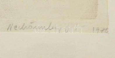 Nechánszky József (1936-), Picasso után: Anya gyermekével, 1970. Rézkarc, papír, jelzett, , üvegezet...