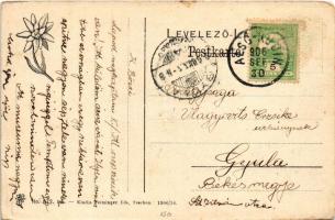 1906 Árvaváralja, Árva-Váralja, Oravsky Podzámok; Árva vára. Feitzinger Ede kiadása (Teschen) No. 87...