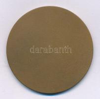 1970 k. "Lenin Kohászati Művek Diósgyőr" egyoldalas bronz emlékérem (50mm) T:AU