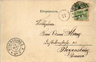 1907 Sziszek, Sisak; Savska ulica / utca, vendéglő, Mayer üzlete / street view, inn, shops (EK)