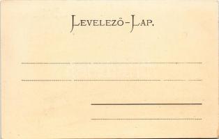 Versec, Werschetz, Vrsac; Sétatér, üzletek. Kehrer Lajos kiadása, montázs hintóval / Corso / promena...