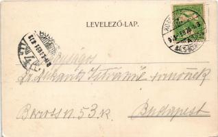 1908 Szabadka, Subotica; Dr. Sántha szanatóriuma / sanatorium (kopott sarkak / worn corners)