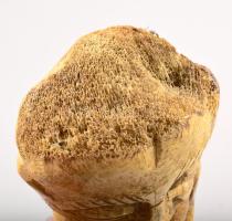 Afrikai csont faragás, kopással, m: 33 cm