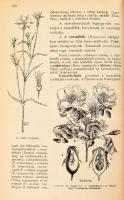 Kerékgyártó Árpád - Mohay Ádám: A növények természetrajza. A fiú- és leányközépiskolák számára. Bp.,...