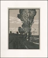 Erdőssy Béla (1871-1928): Táj. Linómetszet, papír, jelzés nélkül, paszpartuban, 25×19 cm