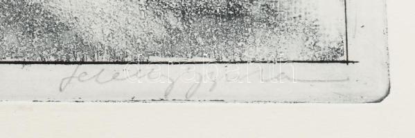 Feledy Gyula (1928-2010): Északi hadjárat, 1919. Rézkarc, papír, jelzett, 29x40 cm