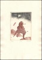 Szemethy Imre (1945- ): Átlépés (25/100), rézkarc, papír, jelzett, hátoldalon pecséttel, 19×15 cm