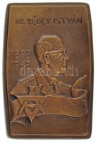 Szigeti Magda (1947-) 1968. "Dr. Rédey István 1898-1968" egyoldalas, öntött bronz emlékplakett (83x122mm) T:XF