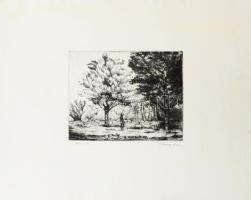 Remsey Iván (1921-2006): Erdőszélen. Rézkarc, papír, jelzett, 17x22 cm