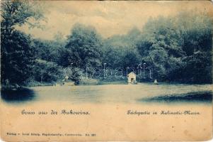 Calinesti, Kalinestie (Bukovina, Bucovina, Bukowina); Teichpartie in Kalinestie-Marin. Verlag v. Leon König No. 327. / view, lake (EM)