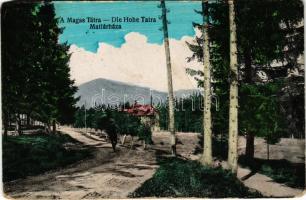 1918 Matlárháza, Matliary, Tatranské Matliare (Magas-Tátra, Vysoké Tatry); (fa)