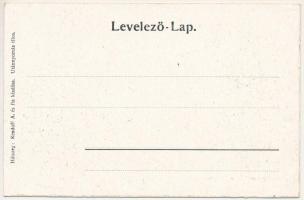 Szacsal, Sacel; Báró Nopcsa kastély. Kendoff A. és fia kiadása / castle