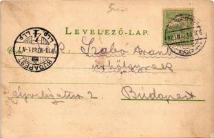 1903 Zólyomlipcse, Zólyom-Lipcse, Slovenská Lupca; vár. Ivánszky Elek kiadása / castle (EK)