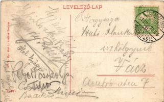 1910 Sztrecsnó, Sztrecsény, Strecno; Vágvölgy, várrom Zsolna mellett. W.L. Bp. Biel L. kiadása / Pov...