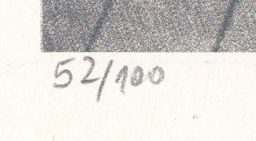 Maurer Dóra (1937-): Quod libet (Cím nélkül), 1990. Szitanyomat, papír. Jelzett. Számozott: 52/100. ...