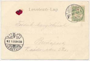 1902 Segesvár, Schässburg, Sighisoara; Petőfi szobor. Vándory kiadása, szecessziós-virágos litho ker...