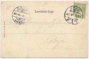 Arad, Városháza. Réthy L. és Fia kiadása, szecessziós-virágos litho keret / town hall. Art Nouveau, ...