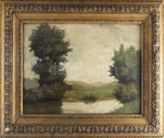 Wiegand, Gustave Adolph (1870-1957): Vízparti táj. Olaj, karton, jelezve balra lent. Hátoldalán 1920-40 körüli töredékes magyar raglappal. Dekoratív, sérült fakeretben. 40×51,5 cm.