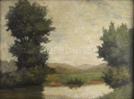 Wiegand, Gustave Adolph (1870-1957): Vízparti táj. Olaj, karton, jelezve balra lent. Hátoldalán 1920...