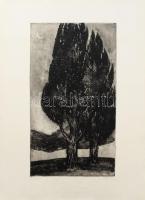 Bencze László (1907-1992): Jegenyék. Rézkarc, papír, jelzett, 44×24,5 cm