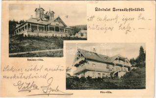 Borszék, Borsec; Emmausz villa, Pax villa / villas (kis szakadás / small tear)