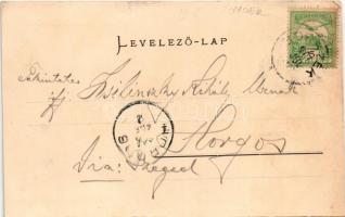 Borszék, Borsec; Emmausz villa, Pax villa / villas (kis szakadás / small tear)