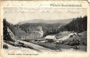 Borszék, Borsec; Borszék vidéke, Borpatak völgye, vízimalom / watermill (EM)