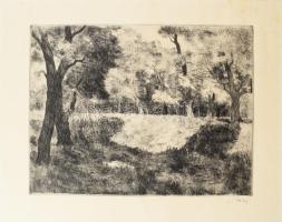 Biai-Föglein István (1905-1974): Fák a szigetcsúcson. Rézkarc, papír. Jelzett. Lapszéli ázásnyommal. 29,5×38,5 cm