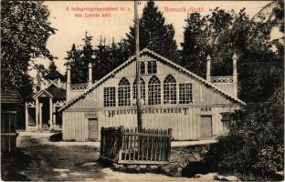 Borszék, Borsec; Hidegvízgyógyintézet és a Szent László kert / spa, bathhouse, park (EK)