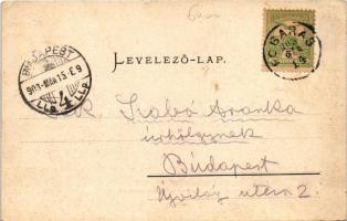 1903 Fogaras, Fagaras; Apaffy (Apafi) fejedelem kastélya a XIV. századból, vár / Schloss des Fürsten...