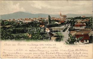 1903 Beszterce, Bistritz, Bistrita; látkép. Theodor Botschar kiadása / general view (apró szakadás / tiny tear)