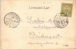 1903 Beszterce, Bistritz, Bistrita; látkép. Theodor Botschar kiadása / general view (apró szakadás /...