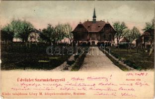 1902 Szatmárhegy, Viile Satu Mare; Herman villa. Löwy M. kiadása / villa (EK)
