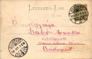 1902 Szatmárhegy, Viile Satu Mare; Herman villa. Löwy M. kiadása / villa (EK)