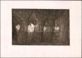 Imre István (1918-1983): Naplemente. Rézkarc, papír, jelzett.Hátoldalán Rézkarcoló Alkotóművészek Közösségének bélyegzőjével. 18,5×29,5 cm