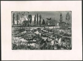 Doór Ferenc (1918-2015): Varjak. Rézkarc, papír, jelzett, 18,5x29,5 cm