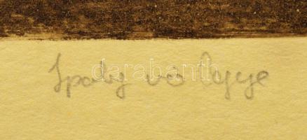 Czinke Ferenc (1926-2000): Ipolyvölgye. Rézkarc, papír jelzett, lapszéli apró sérüléssel, 29×39 cm