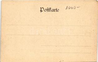 Wernigerode, Harzquerbahn. Blick auf Hasserode u. Wernigerode / narrow-gauge railway, train, locomot...