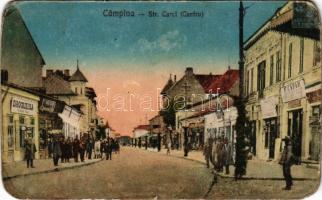 1943 Campina, Strada Carol (Centru), Drogueria, Rosenberg, F. Cadar / street, shops, pharmacy (worn corners)