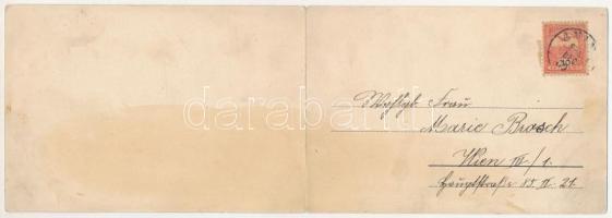 1909 Anina, Stájerlakanina, Stájerlak, Steierdorf; vasgyár, 2-részes kihajtható panorámalap. Hollsch...