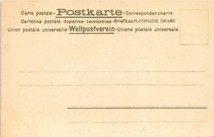 Schweiz. Ges gesch. No. 19790. Serie 74. / Switzerland map, coat of arms, flags, soldier, folklore. ...