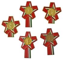 1970-1981. "Forradalmi Ifjúsági Napok" jelvény tétel (14db) T:AU,XF egyiken hiányzó tű