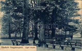 1908 Nagybánya, Baia Mare; Ligeti részlet. Steinfeld Moritz és fia kiadása / park (Rb)