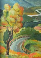 Keresztes jelzéssel: Hegyvidéki táj, 1979. Olaj, vászon. Fakeretben. 50x70 cm