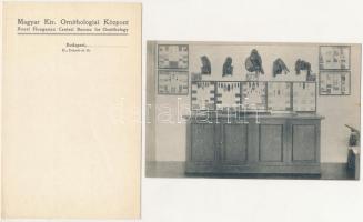 Budapest II. M. kir. Ornitológiai Központ - 4 db régi képeslap