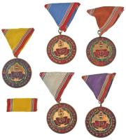 1965. "Szolgálati Érdemérem - A Haza Fegyveres Szolgálatában" 10, 15, 20, 25, és 30 év után, zománcozott és műgyantás fém kitüntetések eredeti mellszalaggal, egyik szalagsávval T:AU,XF