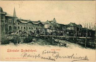1900 Budapest XXII. Budafok, Anna utca, Louis Francois &amp; Co. pezsgőgyára. Ifj. Simon József kiadása