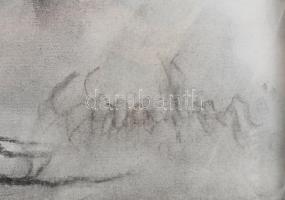 Olvashatatlan jelzéssel: Csendélet. Szén, pasztell, papír. Üvegezett fakeretben. 70x50 cm